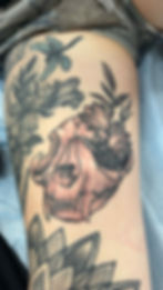 0ac4cb63-b09b-45d9-b9b0-3ef1ae4237c2