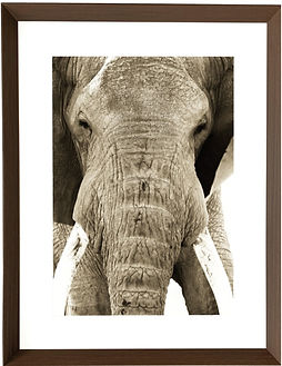 60509 nbrown frame_edited.jpg