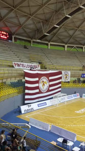 bandeira ginásio.jpeg