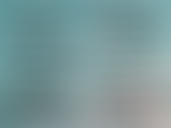 Flat rate single services