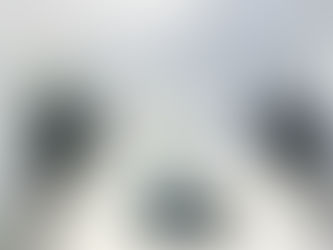 Bedroom basic cleaning or make over?