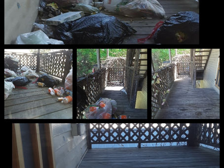 Before & after move out cleaning service