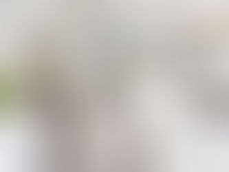 Cabinet & cupboard cleaning packages