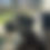 Thumbnail: Dapper