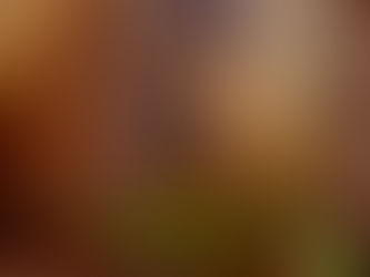 3 Alasan Kenapa Kalian Stuck Rank Iron - Bronze di Game Valorant!