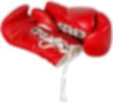 Boxing Gloves
