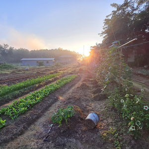 Organic Farming