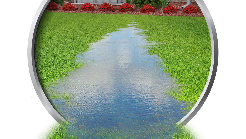 puddle