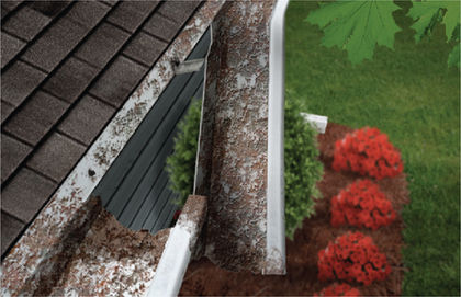 Amerimax Rainwater Problems