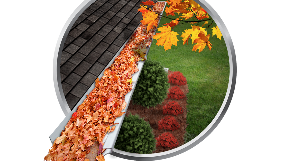 leaves_gutter