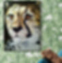 I Am Not A Jaguar - Watercolor Painting