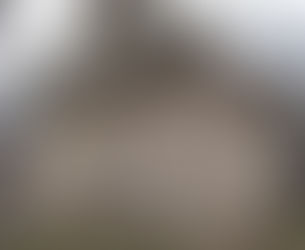 Zelené srdce - projektová dokumentace pro rekonstrukci Kaple sv. Anny