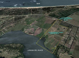 4 FRACCIONAMIENTO LOMAS DEL SAUCE.jpg