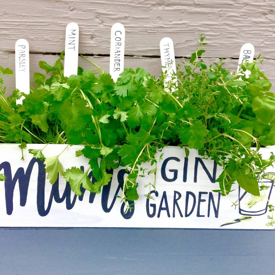 Personalised Gin Garden With Herb Seeds Potting Shed Designs