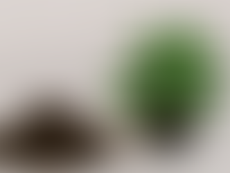 Χώματα για όλες τις ανάγκες των φυτών