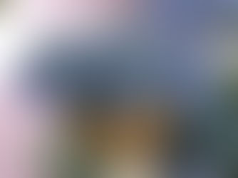 Top 5 ανοιξιάτικα φυτά.