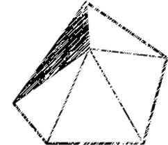 Polygon 5