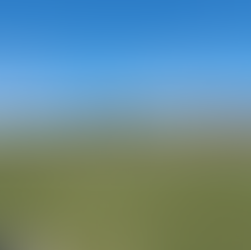 Bootle Put Five Past Mossley