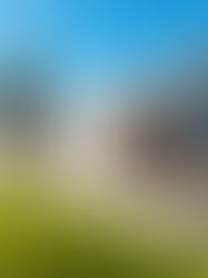 How the Dollar Exchange Rate Impacts Your Real Estate ROI