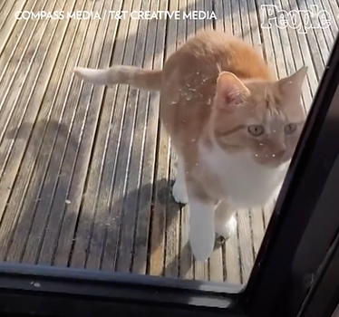 Screen Shot 2023-07-06 at 6.06.54 PM.png