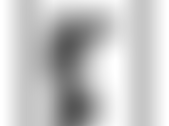 LUCIANA MACHADO is the graphic designer who created the complete visual identity and assets for Rocking :The Universe Is Absurd!—the live theatre performance with William Shatner and Neil deGrasse Tyson in June 2025.