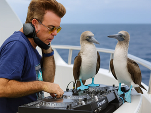 Paul Oakenfold Galápagos playlist cover designed by Luciana Machado \ Lucy Machado for Space2Sea Galápagos expedition