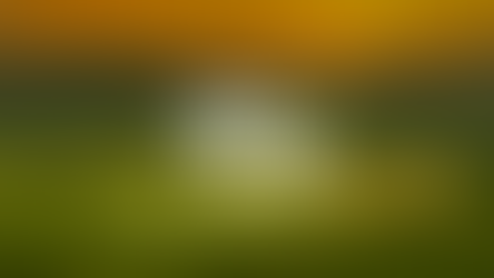 CASE STUDY: Luxury Travel Agency: Evolving brand narrative and delivering operational excellence for Art of Travel