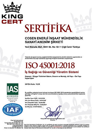 Cosen Enerji 45001 2024.jpg