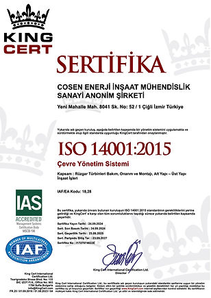 Cosen Enerji 14001 2024.jpg