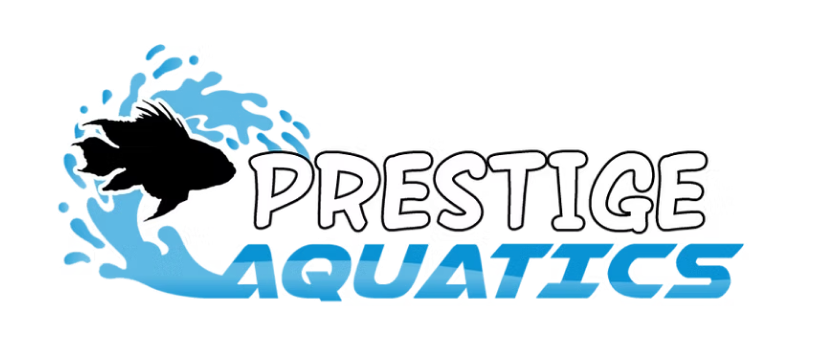 image 6.png