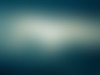 To Capture Their Image