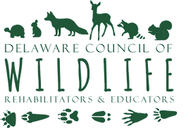 logo-in-color-no-bg.png