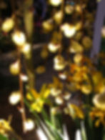 Night Lighting for Ambiance & Safety