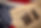 AdobeStock_451841883 72dpi.jpg