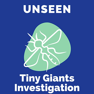 Unseen.png