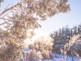 How to Winterize Your Water System