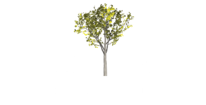 Logo Villa Volpi