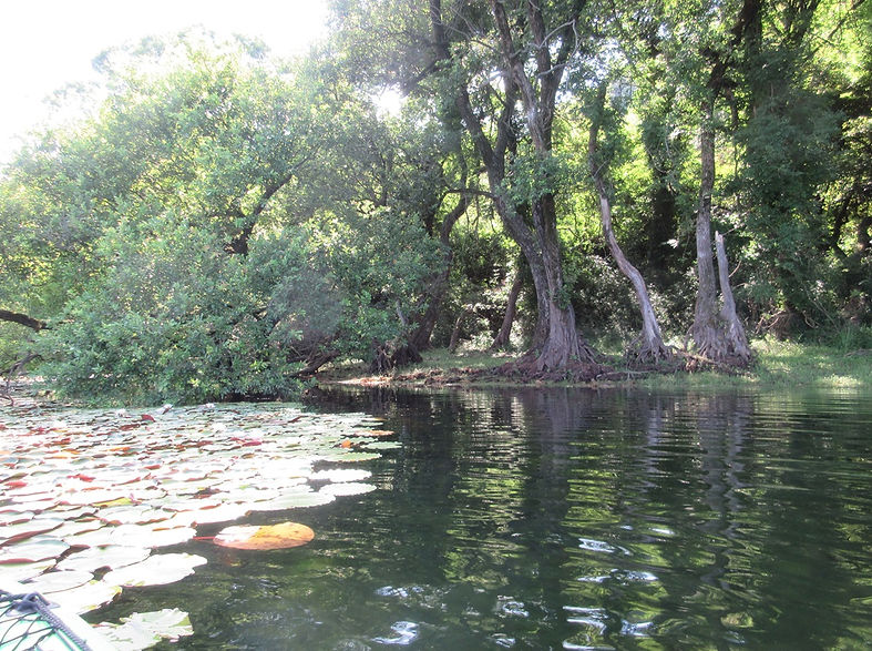 240810-0905.JPG