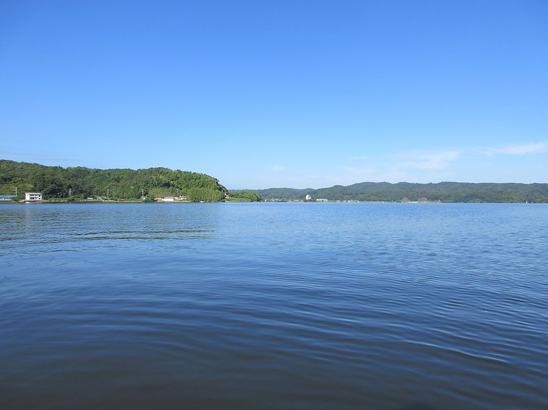 240818-0745d.JPG