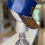 Thumbnail: Sigma Gamma Rho