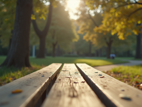 Schedule Your Success: Coaching and Course Offerings