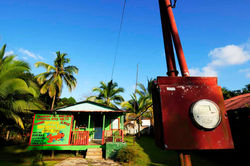 Tortuguero, la petite amazonie
