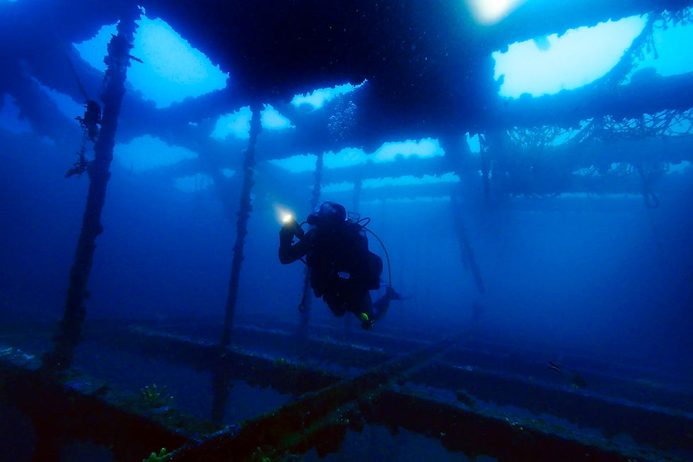 Les épaves Marseillaises