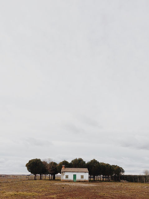 elizabeth-lies-6697-unsplash.jpg