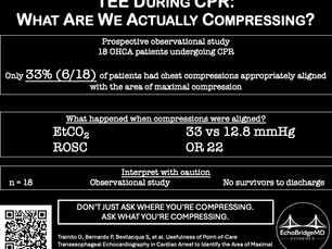transesophageal echocardiography in cardiac arrest