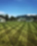 mowing.jpg