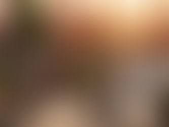 Sisal Halı Nedir? Doğal, Dayanıklı ve Şık Mekânların Gizli Kahramanı