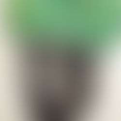 RJ and Racial Justice