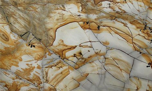 extotico.jpg