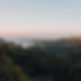 Website-Background.png